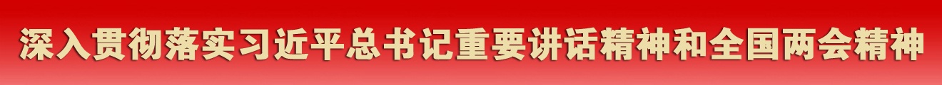 企业成就